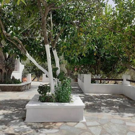 Villa Tillia Panormos  Dış mekan fotoğraf