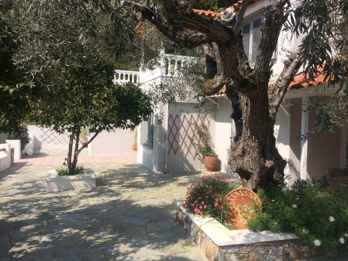 Villa Tillia Panormos  Dış mekan fotoğraf