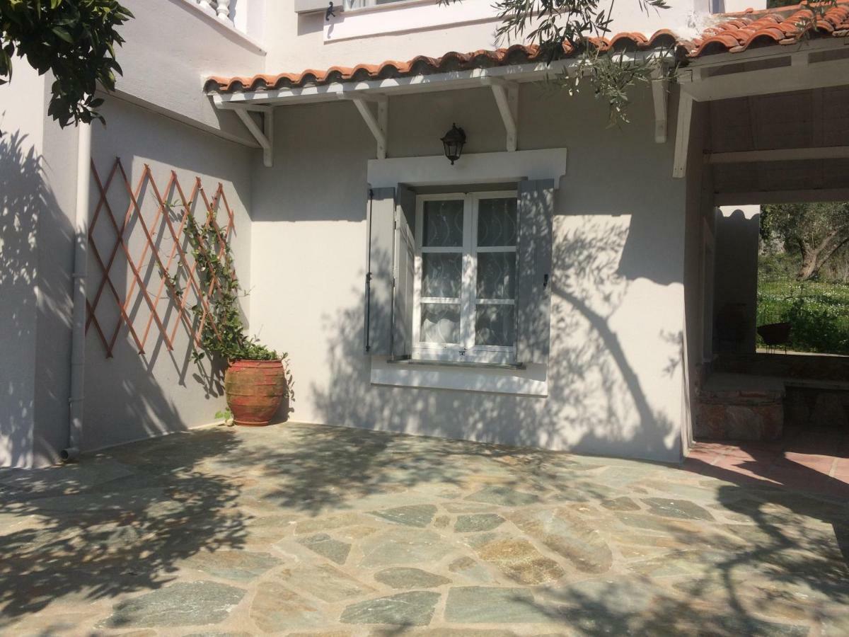 Villa Tillia Panormos  Dış mekan fotoğraf